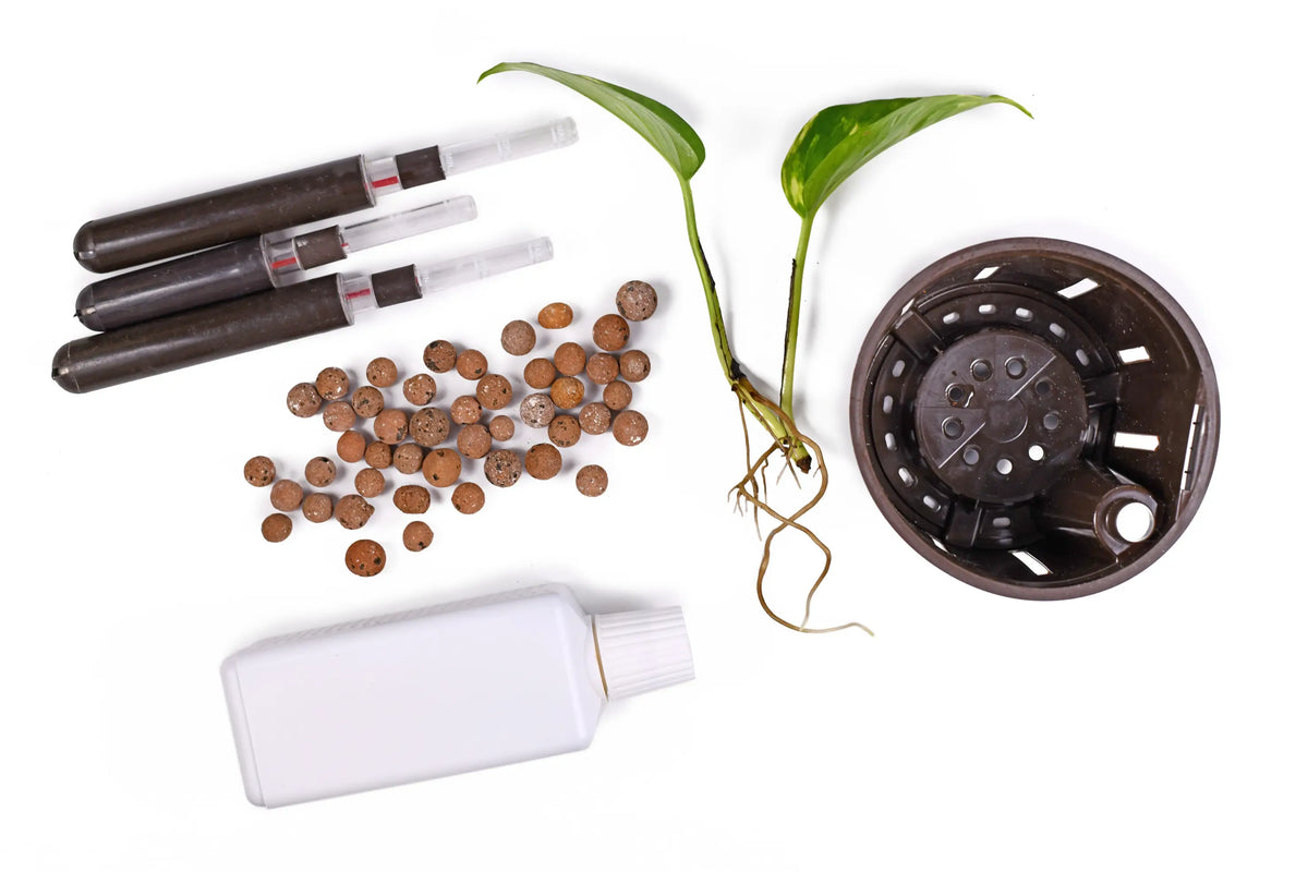 Epipremnum aureum cutting, LECA, self-watering pot, water indicator and fertilizer bottle