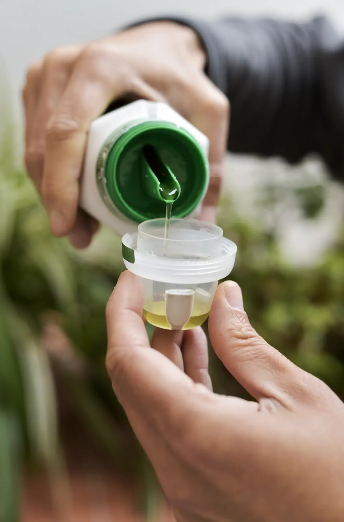 Close-up of hands measuring liquid houseplant fertilizer
