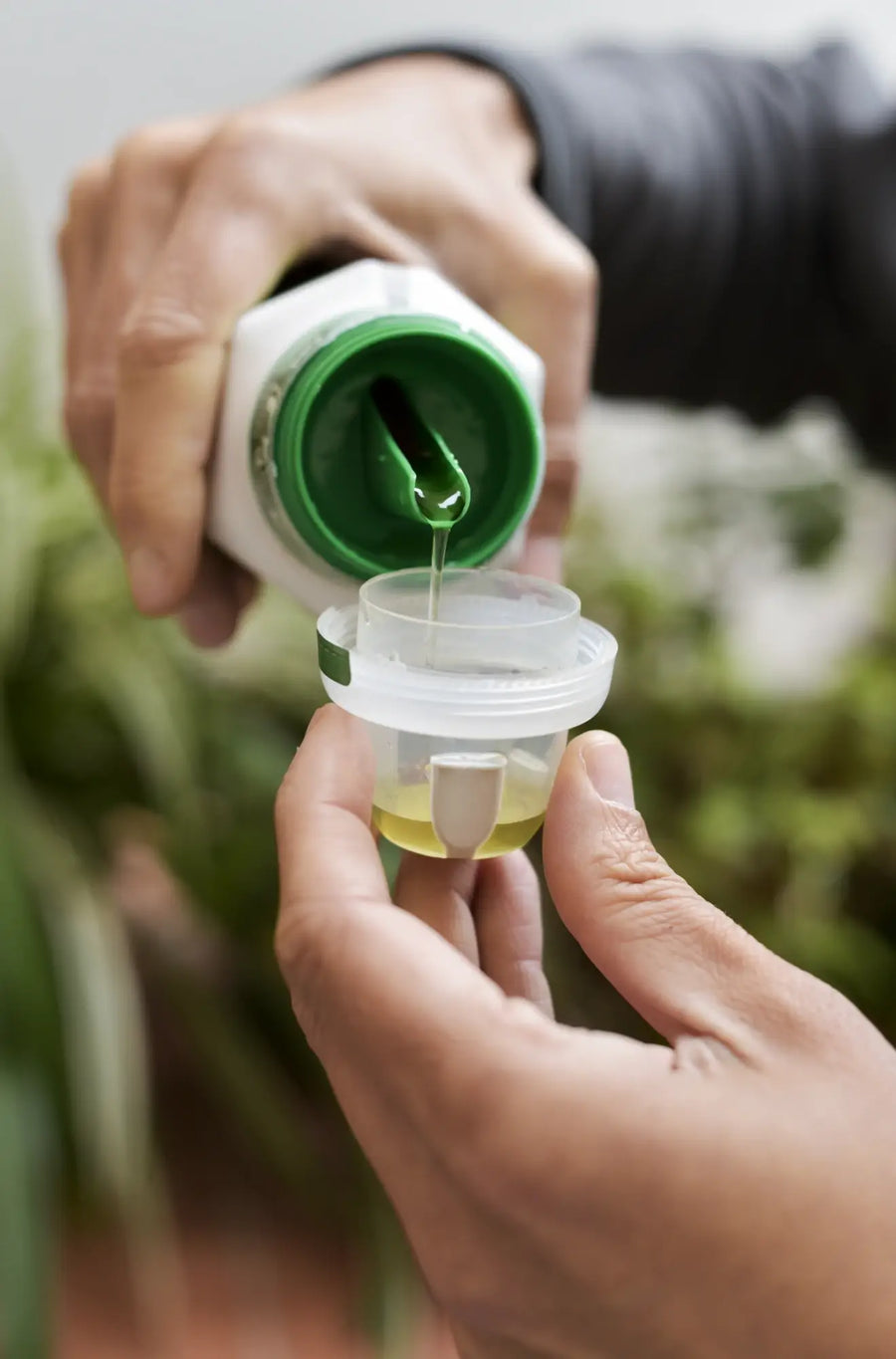 Close-up of hands measuring liquid houseplant fertilizer