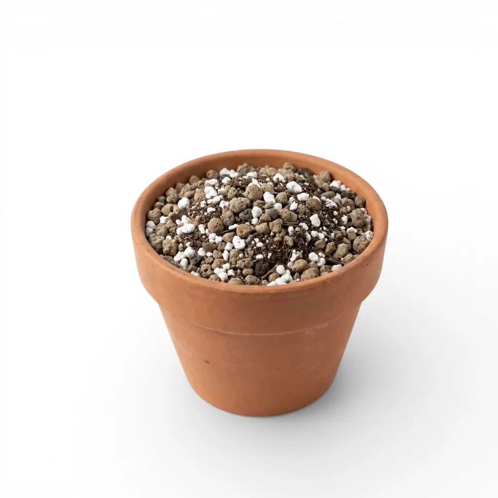 Terracotta pot with succulent soil mix on a white background
