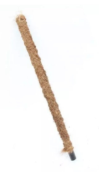 Coco Coir Poles (30–150 cm) product photo on white background.