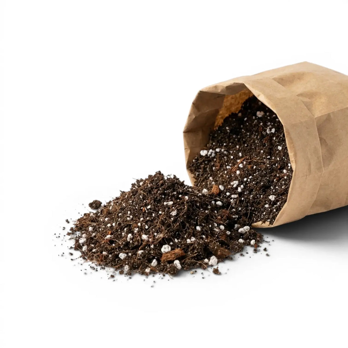 Brown paper bag spilling out Ficus potting mix on a white background