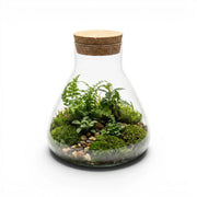 Terrarium Pyramide with plants and a cork lid on a white background