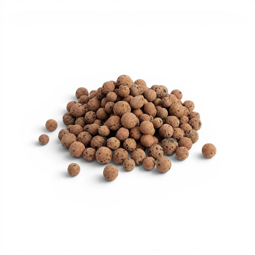 expanded clay balls (leca on a white background
