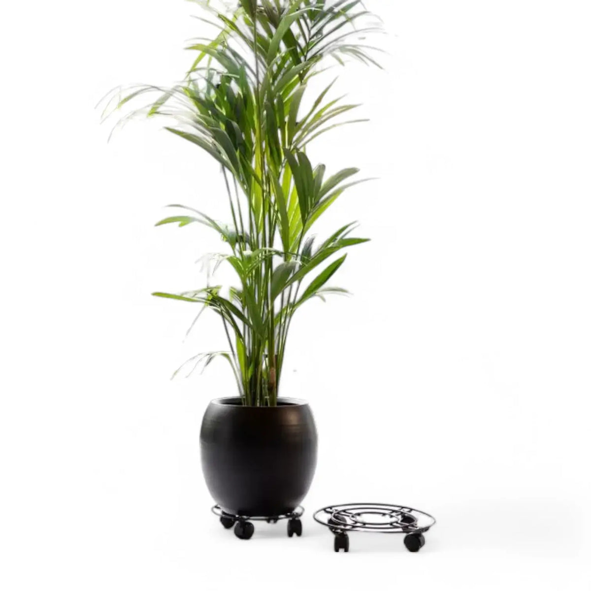 Metal Plant Trolley on white background.