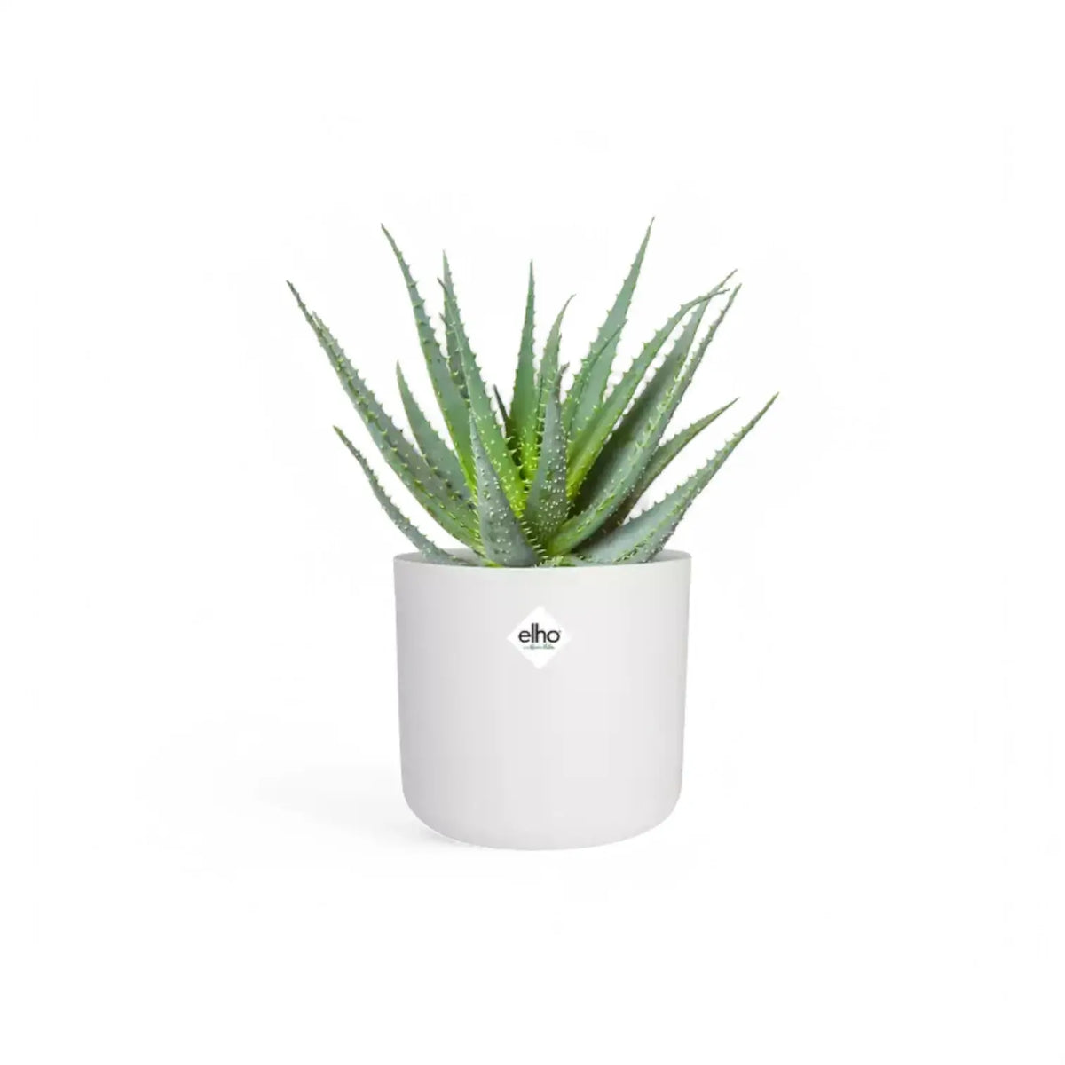 Planter 'b.for soft round' on white background.