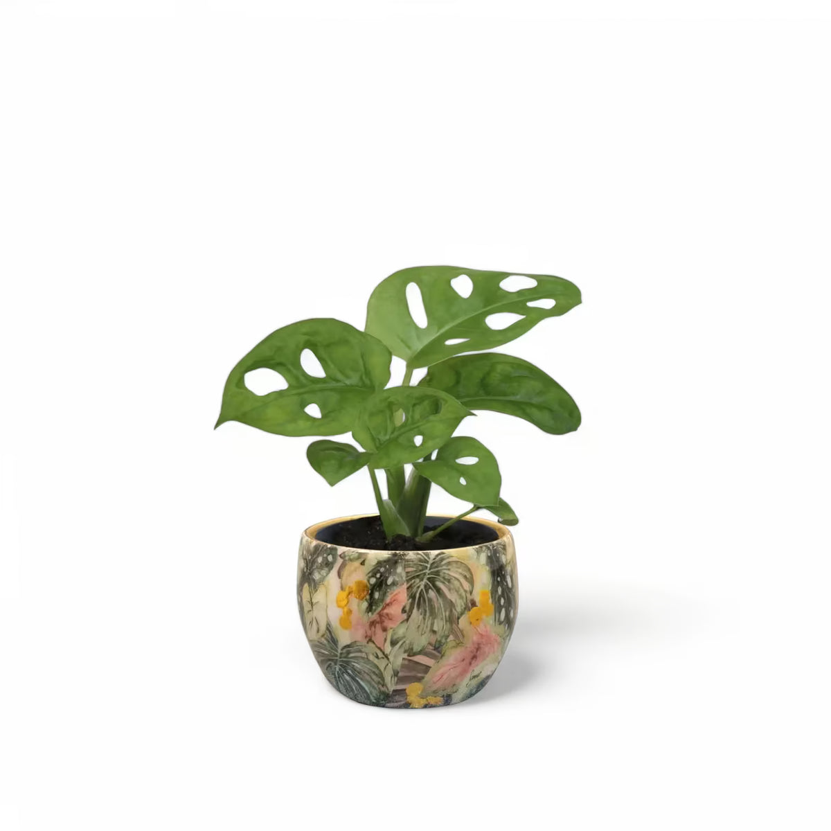 Planter 'Monstera Mystery' on white background.