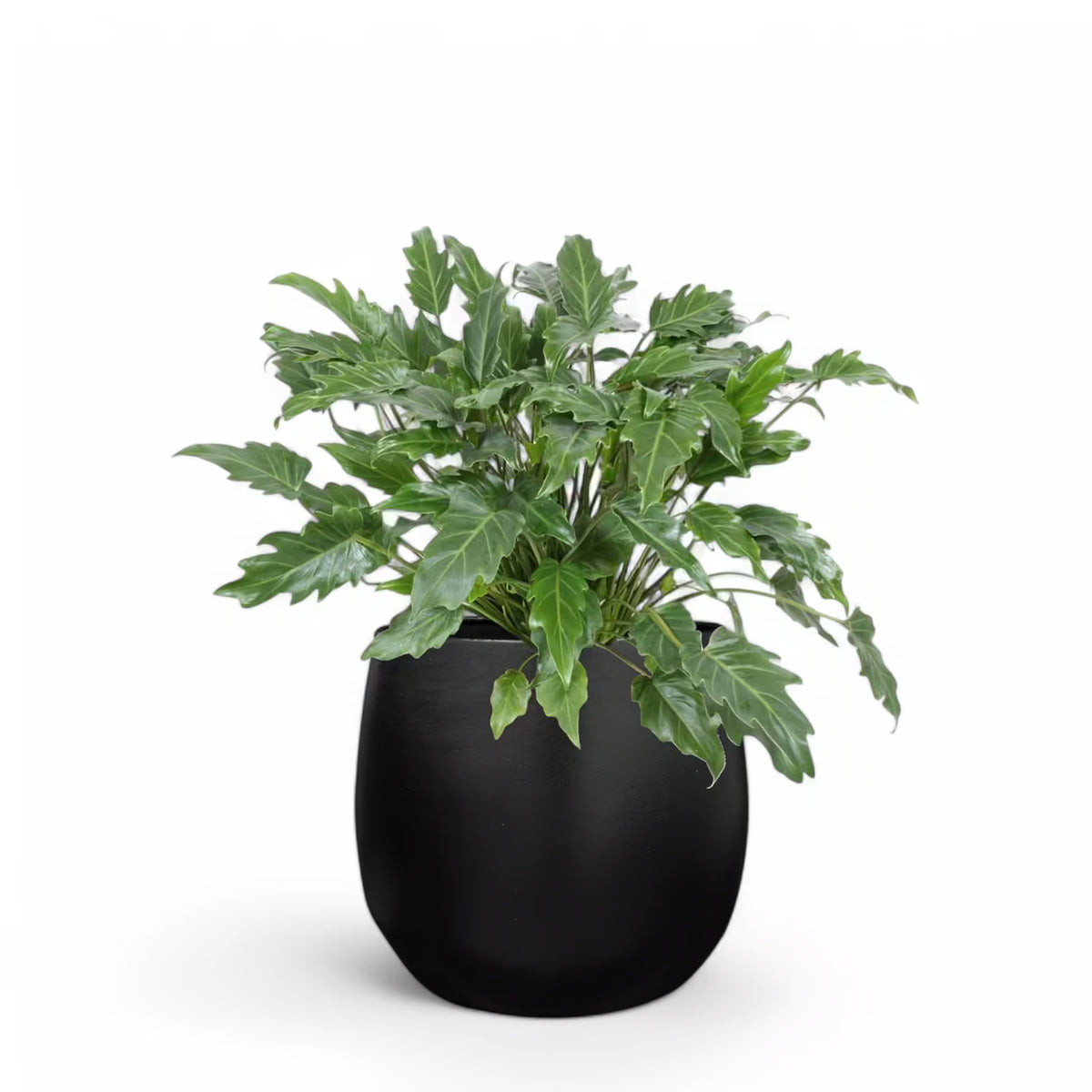 Planter 'Stijn' on white background.