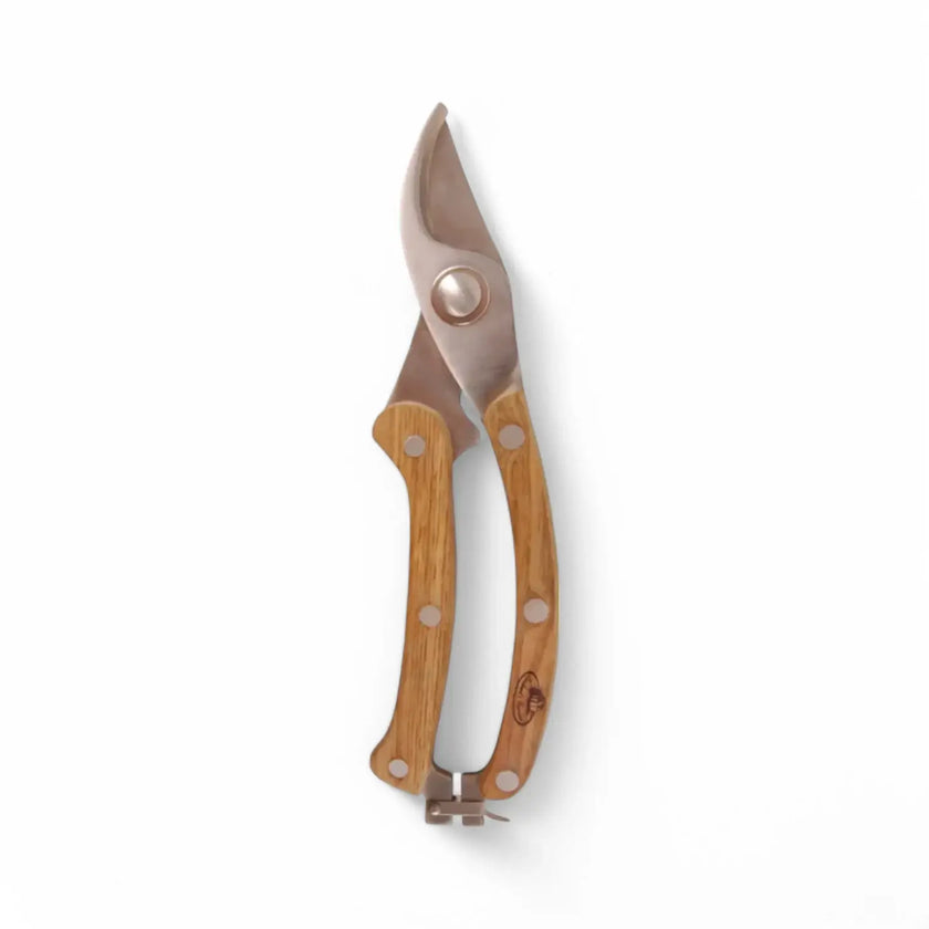 Stainless steel pruner on white background.