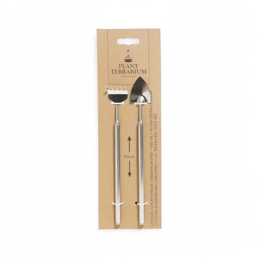 Terrarium plant tool set on white background.