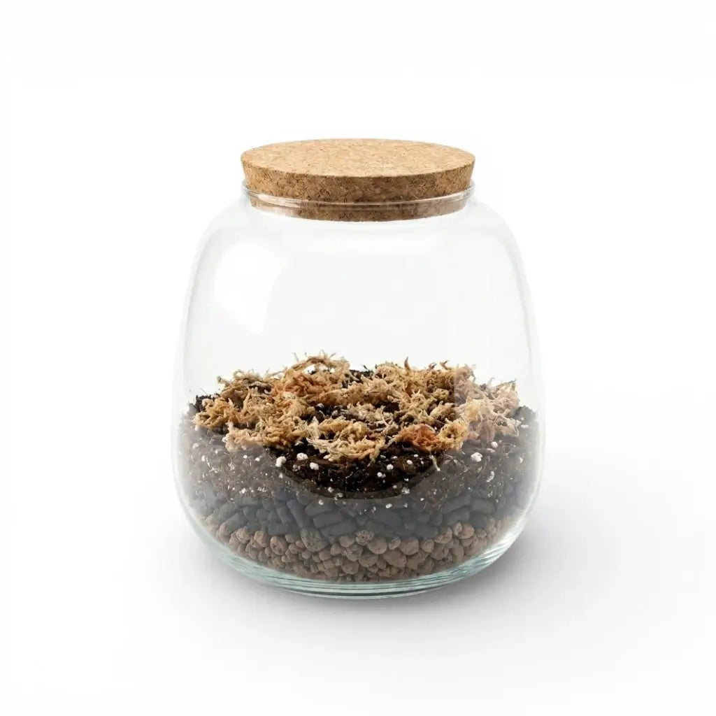 Glass jar with cork lid containing terrarium substrate mix on a white background
