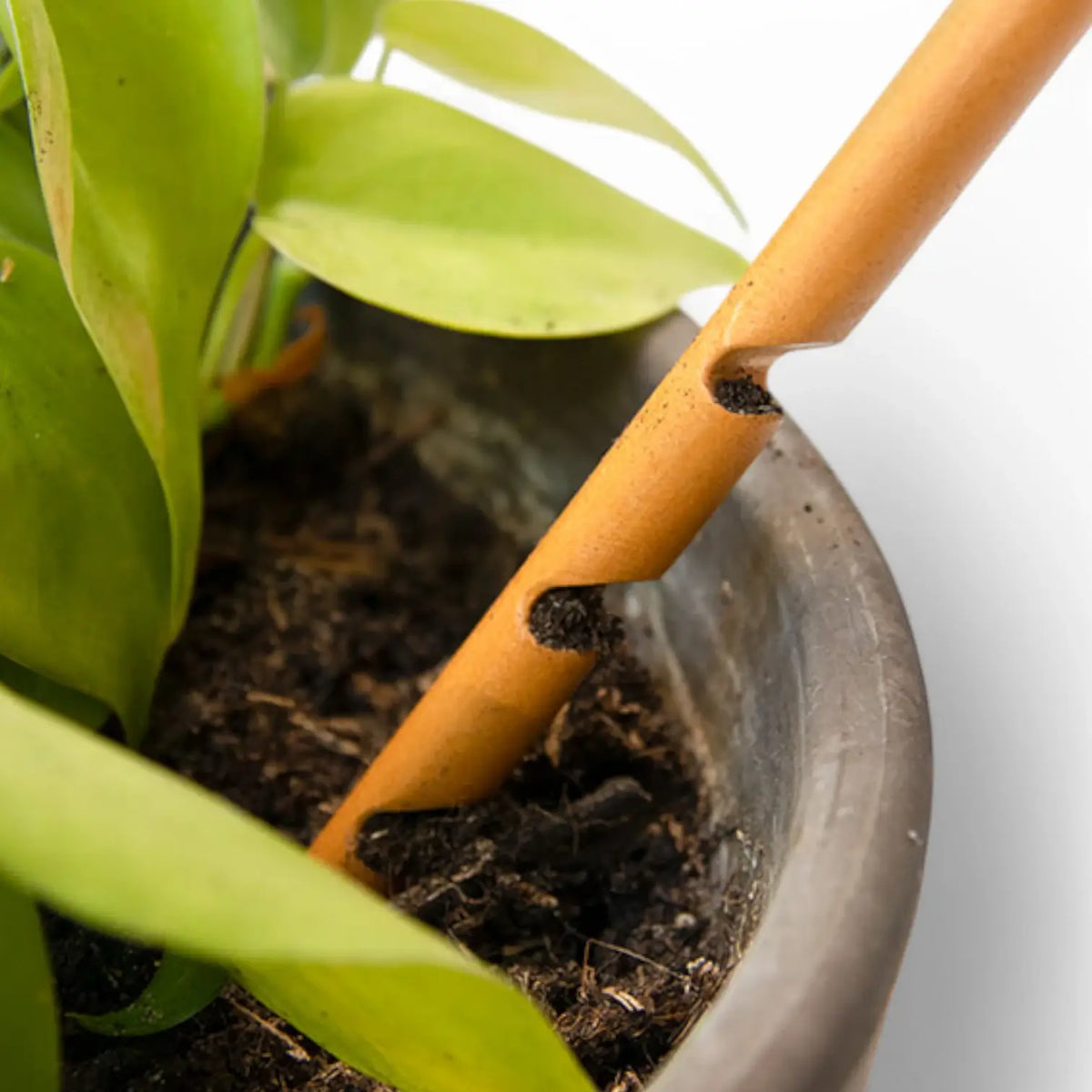 The Soil Checker auf weißem Hintergrund, Produktfoto 6.