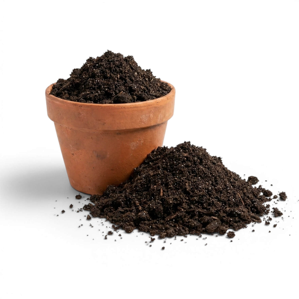 Terracotta pot filled with worm castings on a white background