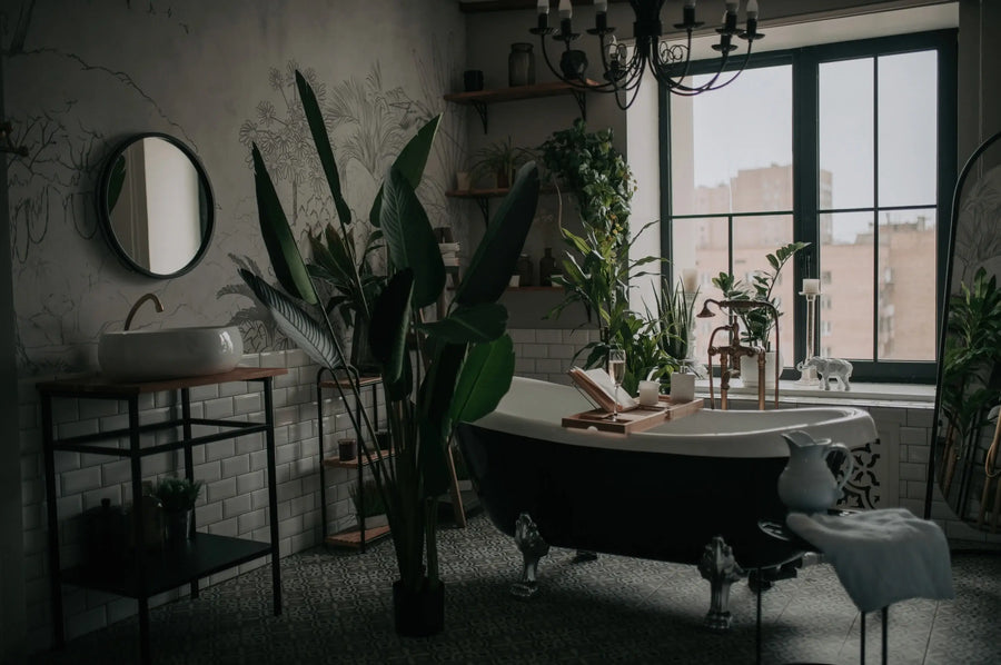 Modern bathroom with a freestanding bathtub, tropical houseplants and a north-facing window