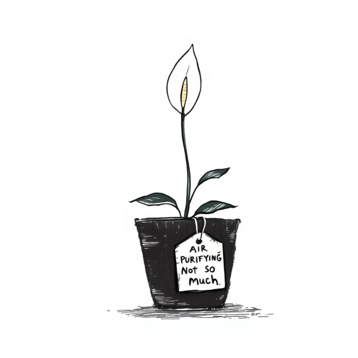 Doodle of a potted peace lily with a tag reading “air purifying, not so much”