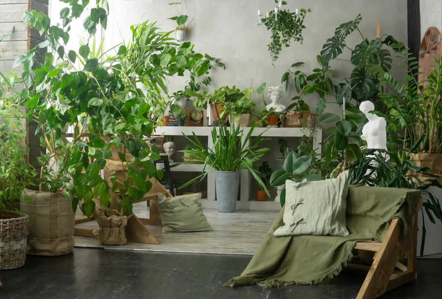 Modern living room with many potted houseplants, furniture and decorative sculptures