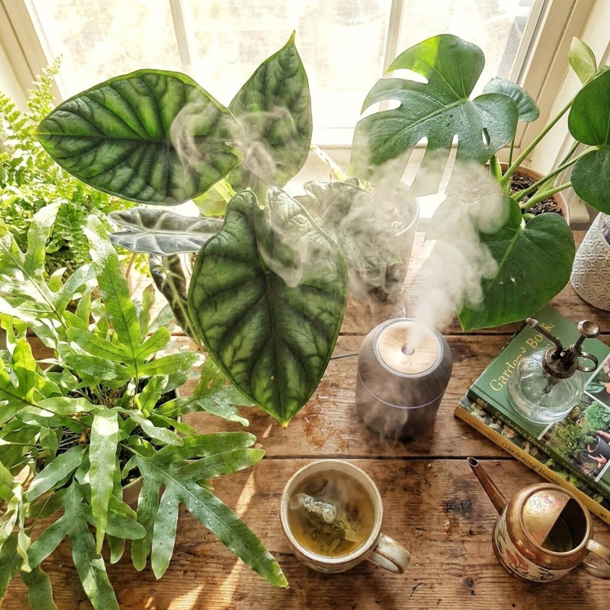 Potted plants and a humidifier releasing mist on a wooden table