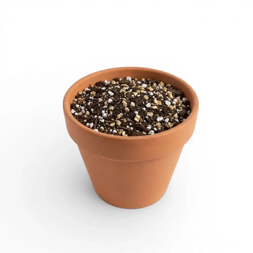 Propagation soil mix in a terracotta pot on a white background 