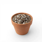 Terracotta pot with succulent soil mix on a white background