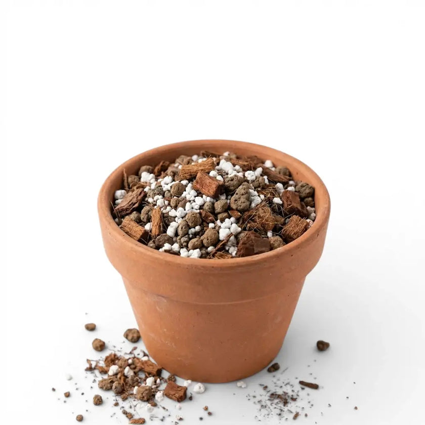 Terracotta pot with aroid substrate mix on a white background