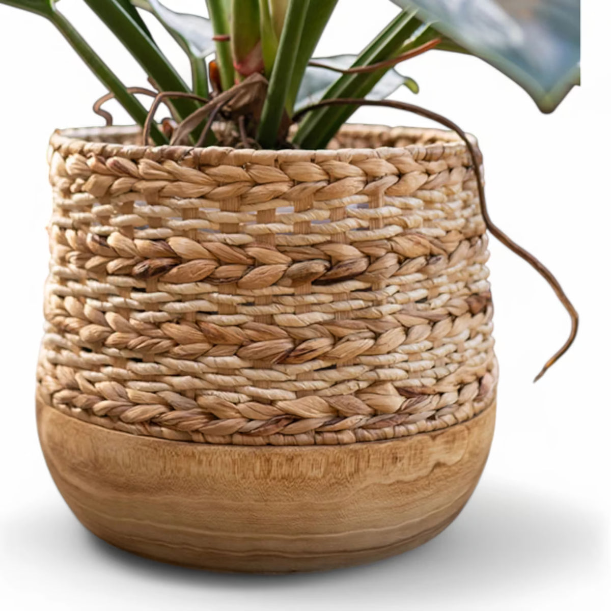 Basket Planter 'Diede' on white background.