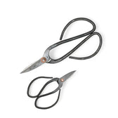 Bonsai pruning scissors main product photo on white background.