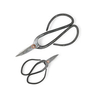 Bonsai pruning scissors main product photo on white background.