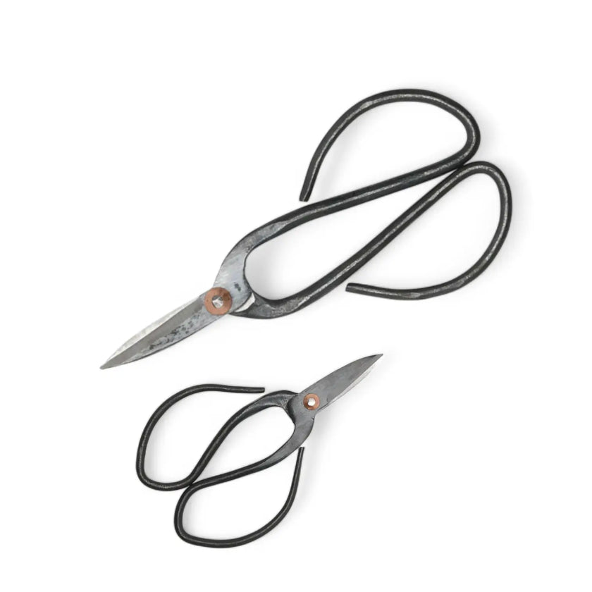 Bonsai pruning scissors main product photo on white background.