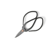 Bonsai pruning scissors on white background.
