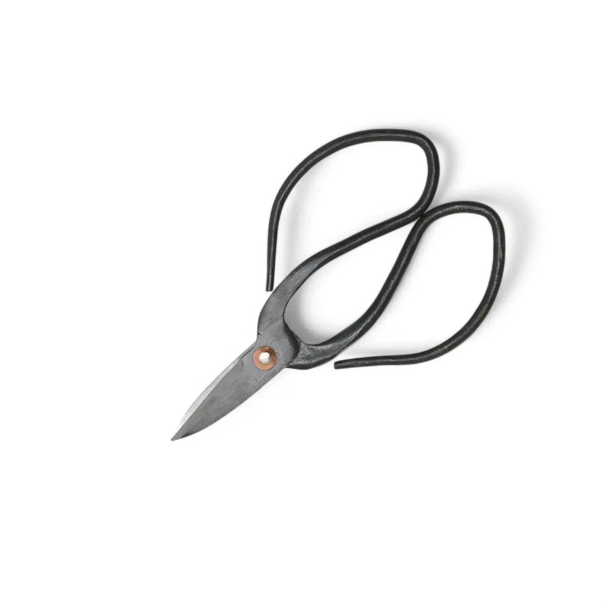 Bonsai pruning scissors on white background.