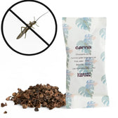 Chrysoperla carnea - against Aphids & Thrips on white background.