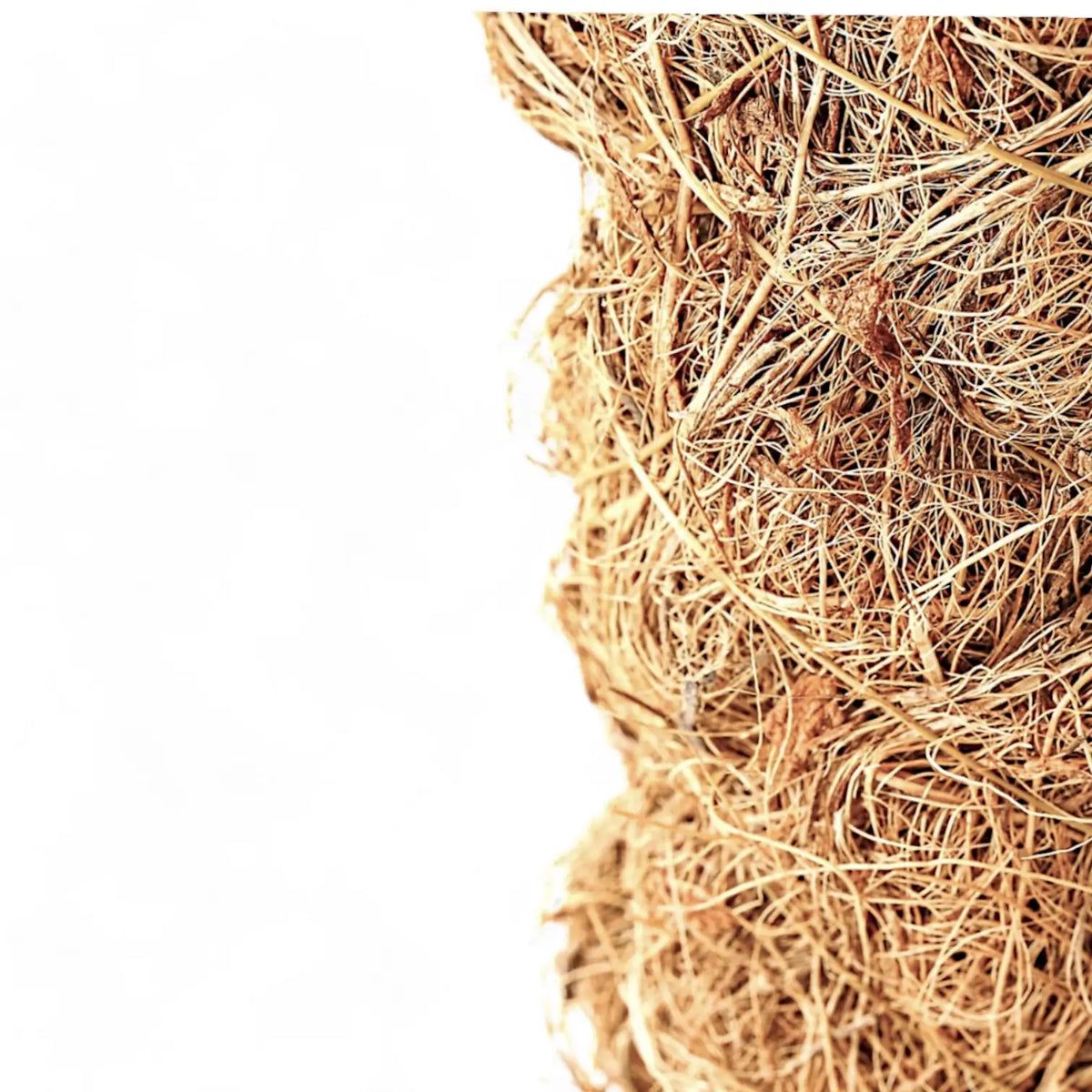 Coco Coir Poles (30–150 cm) main product photo on white background.