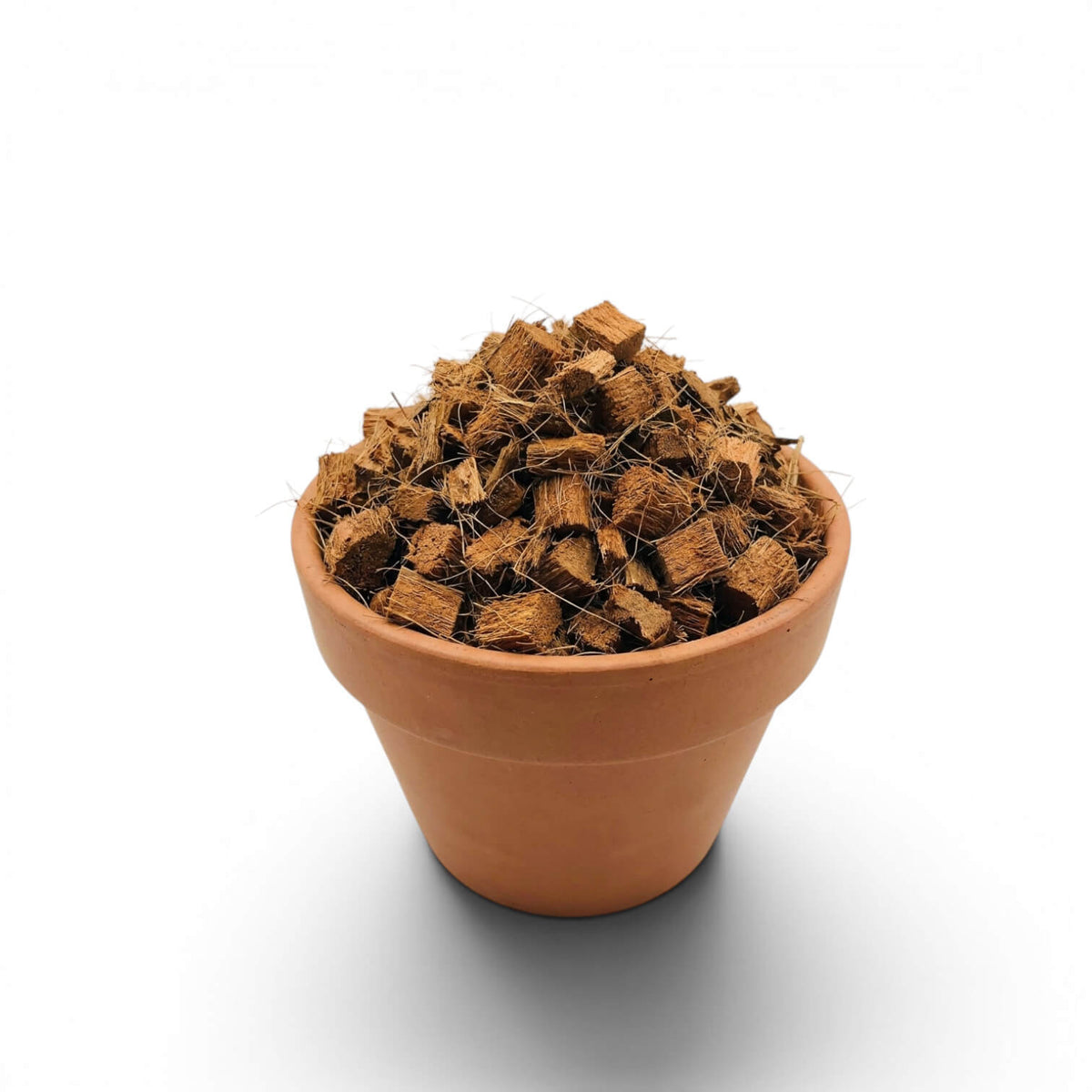Terrakottatopf mit braune Kokoschips auf weißem Hintergrund
