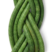 Dracaena angolensis 'Twister' close-up showing cylindrical green leaves braided together