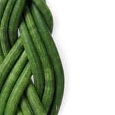 Dracaena angolensis 'Twister' close-up of braided cylindrical green leaves