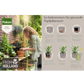 Blähton-Kugeln (LECA) Pokon vor weißem Hintergrund, Produktfoto 15.