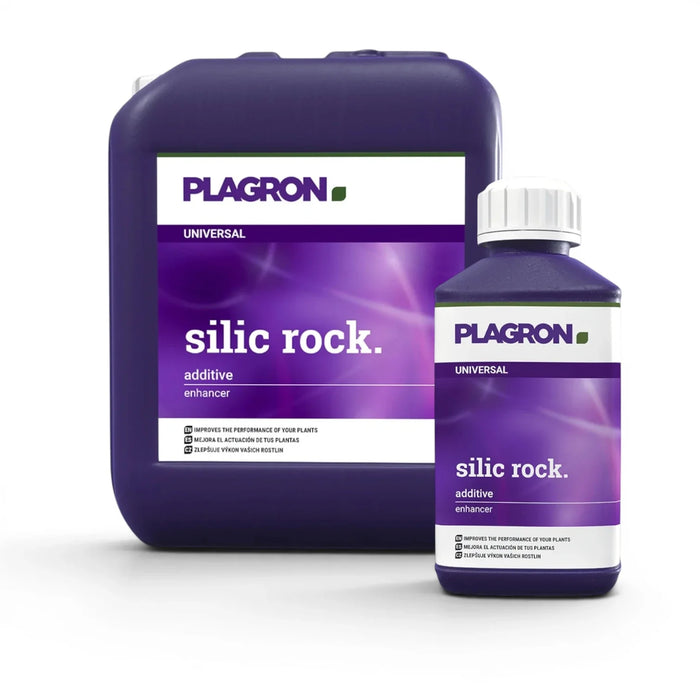 Plagron Silic Rock