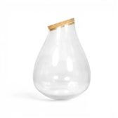 Clear glass vase Drop with a wooden lid on a white background