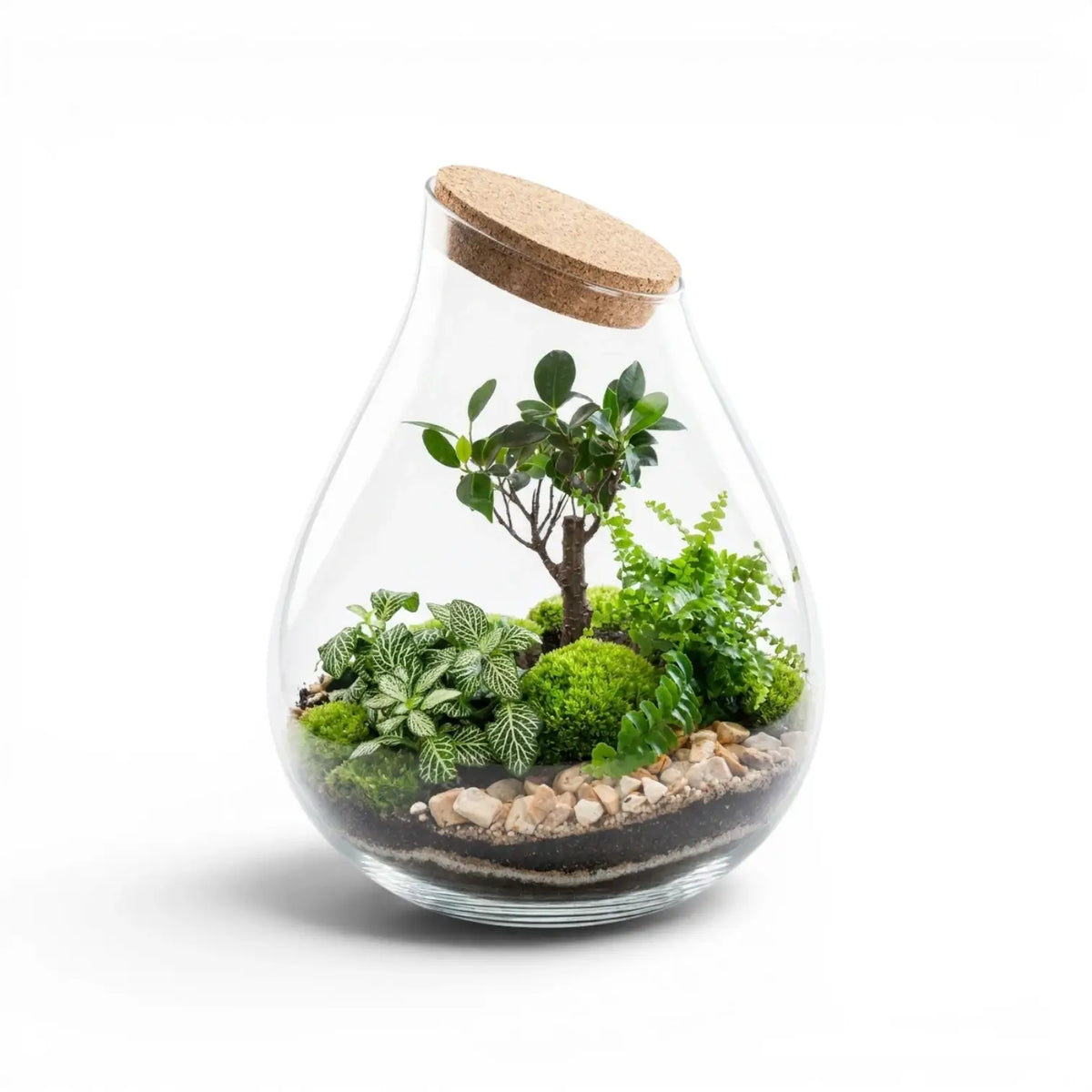 Glass terrarium Drop with plants and a cork lid on a white background