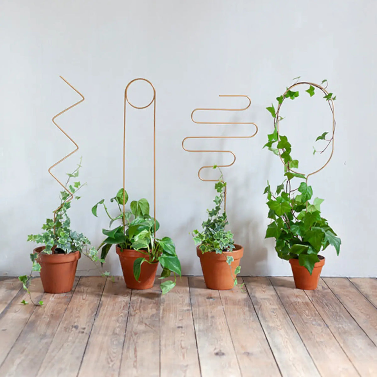 Golden Plant Stakes main product photo on white background.