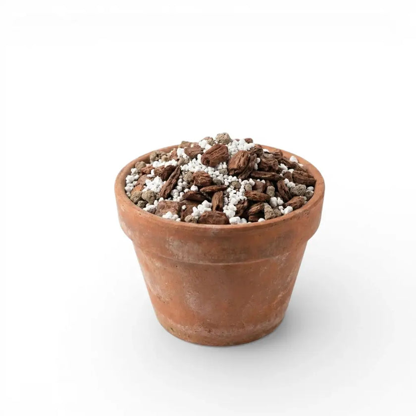 Terracotta pot with hoya soil mix on a white background