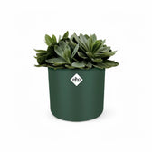 Planter 'b.for soft round' on white background.