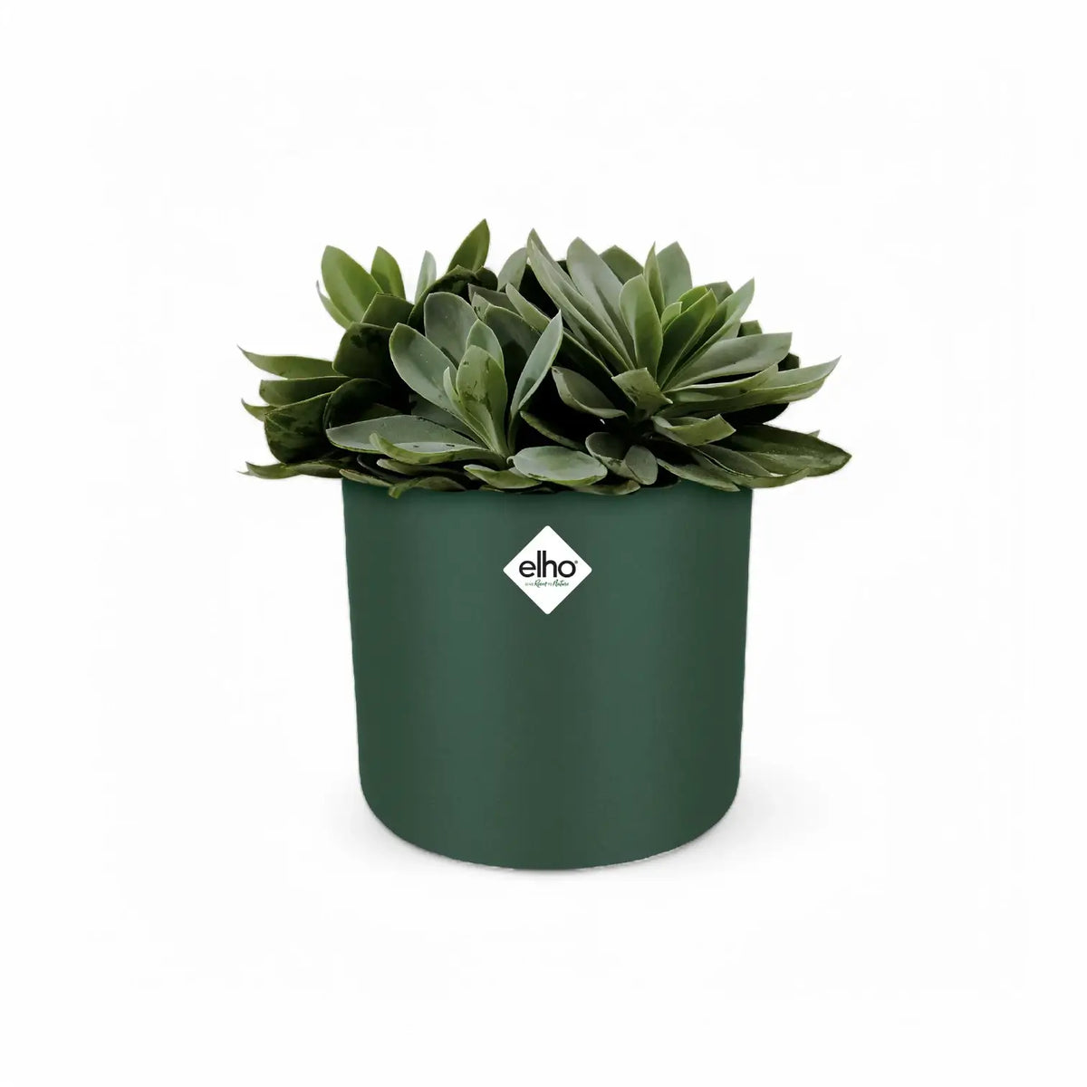 Planter 'b.for soft round' on white background.