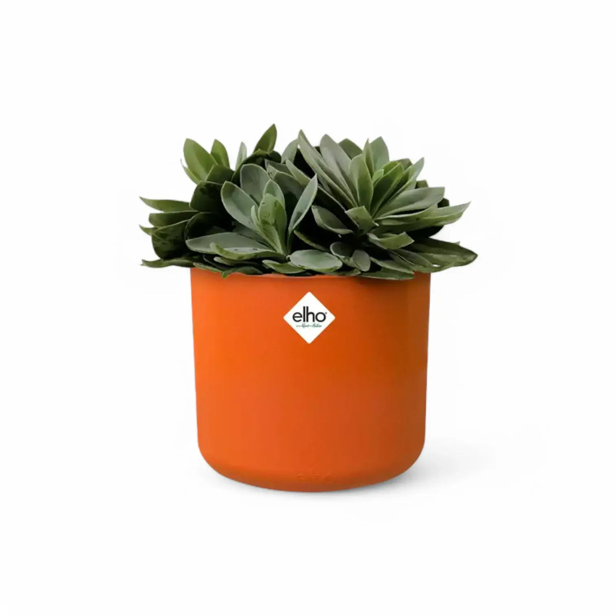 Planter 'b.for soft round' on white background.