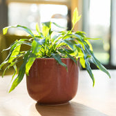 Planter 'Nine' on white background.