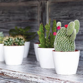 Planter 'San Remo' on white background.