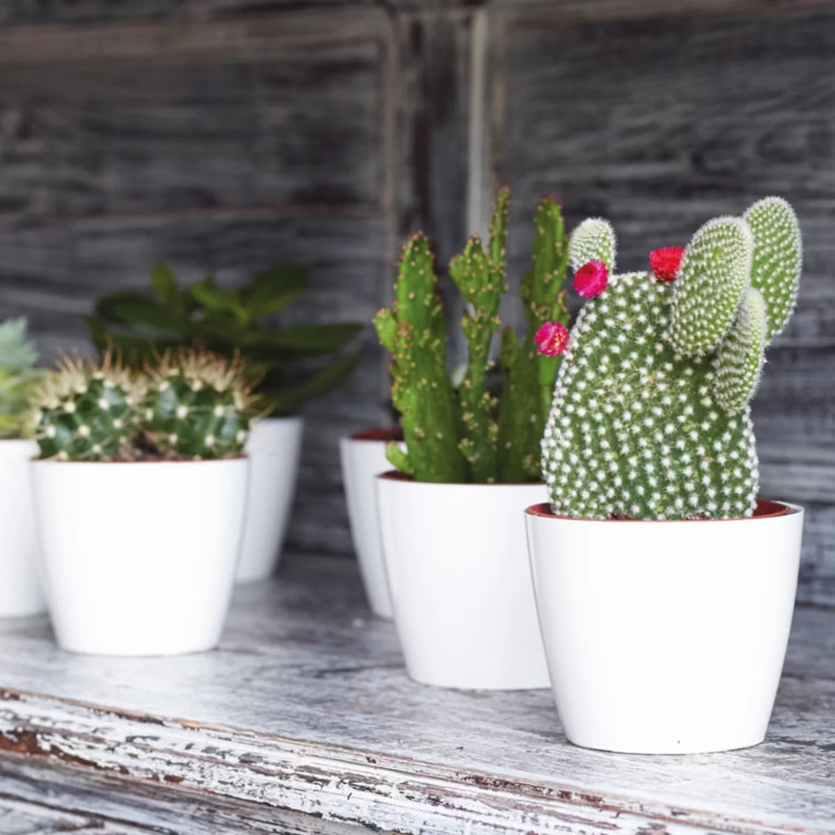 Planter 'San Remo' on white background.