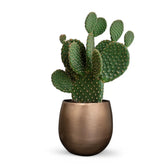 Planter 'Stijn' on white background.