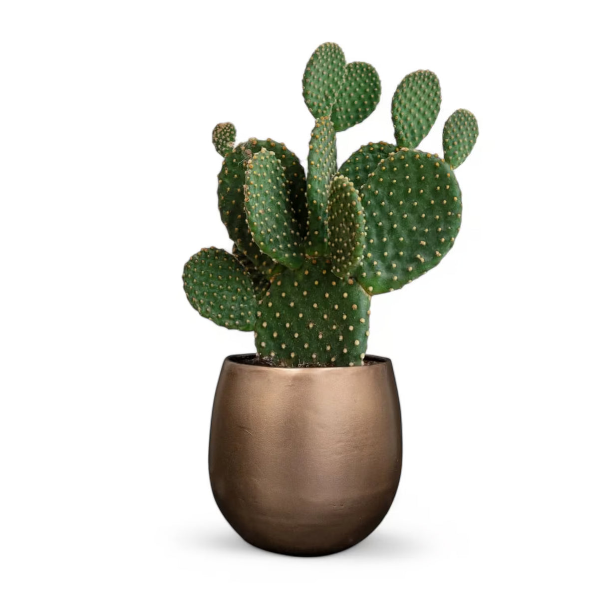 Planter 'Stijn' on white background.