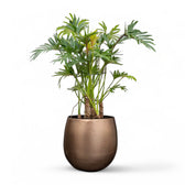 Planter 'Stijn' on white background.